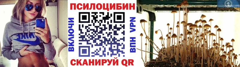 Галлюциногенные грибы мицелий  Лукоянов 